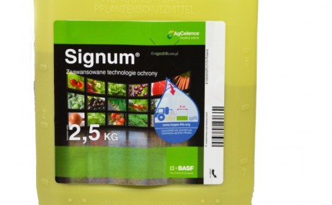 Signum 33 WG - для ефективного захисту малини