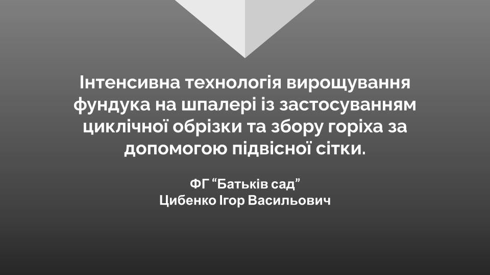 Презентація фундука на шпалері, з конференції у Києві