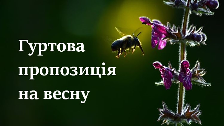 Гуртовим покупцям