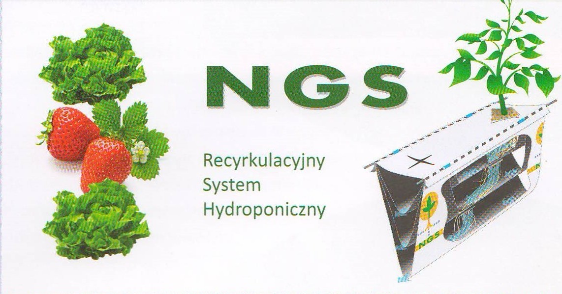 NGS, або нова технологія вирощування суниці