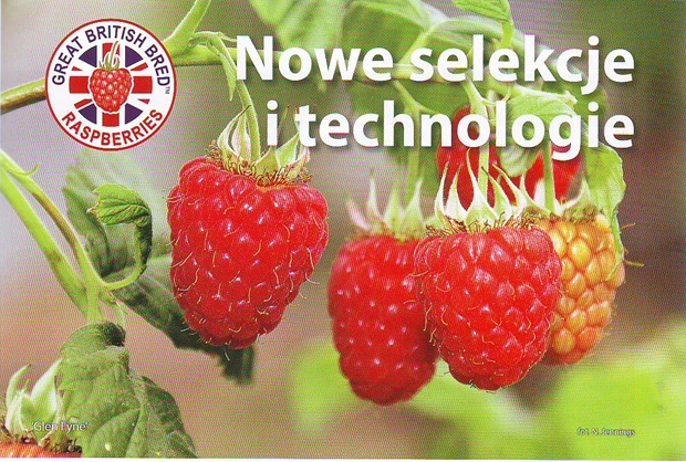 Нові технології в селекції малини